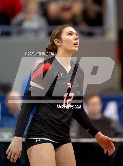 Thumbnail 1 in Forest Park vs. Leland (MHSAA Division 4 Semifinal) photogallery.