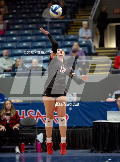 Thumbnail 3 in Forest Park vs. Leland (MHSAA Division 4 Semifinal) photogallery.