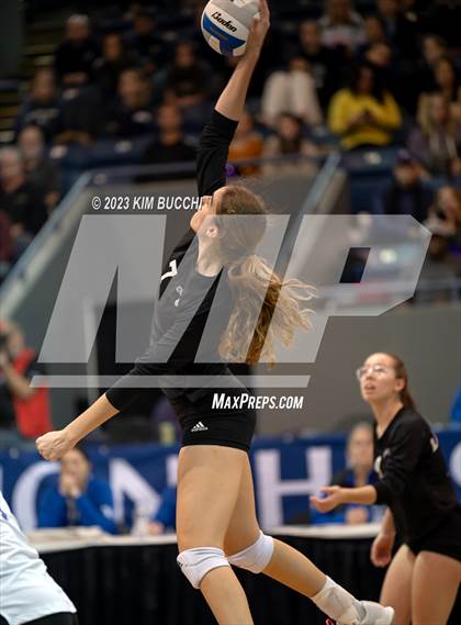 Thumbnail 1 in Forest Park vs. Leland (MHSAA Division 4 Semifinal) photogallery.