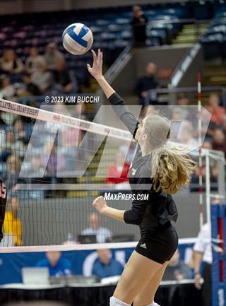 Mhsaa volleyball sales