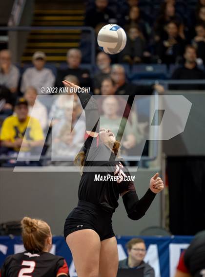 Thumbnail 1 in Forest Park vs. Leland (MHSAA Division 4 Semifinal) photogallery.