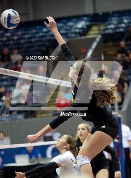 Thumbnail 1 in Forest Park vs. Leland (MHSAA Division 4 Semifinal) photogallery.