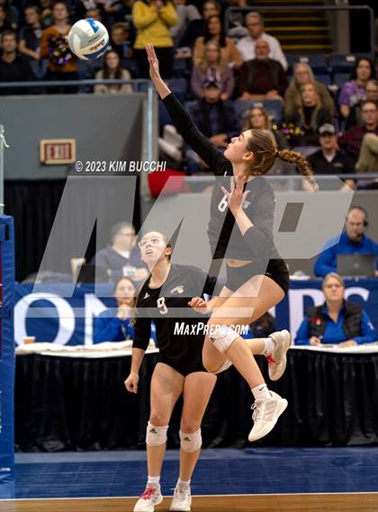 Thumbnail 3 in Forest Park vs. Leland (MHSAA Division 4 Semifinal) photogallery.