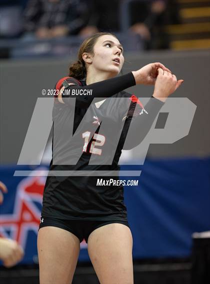 Thumbnail 1 in Forest Park vs. Leland (MHSAA Division 4 Semifinal) photogallery.