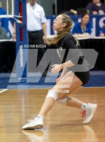 Thumbnail 1 in Forest Park vs. Leland (MHSAA Division 4 Semifinal) photogallery.