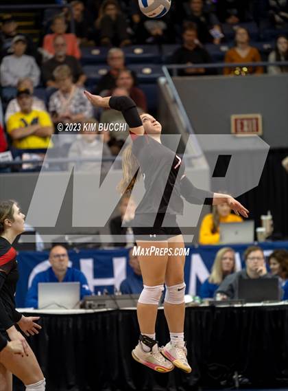 Thumbnail 2 in Forest Park vs. Leland (MHSAA Division 4 Semifinal) photogallery.