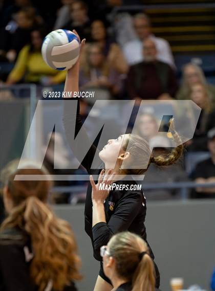 Thumbnail 2 in Forest Park vs. Leland (MHSAA Division 4 Semifinal) photogallery.