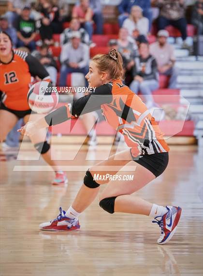 Thumbnail 3 in Wells @ Carlin (Homecoming) photogallery.