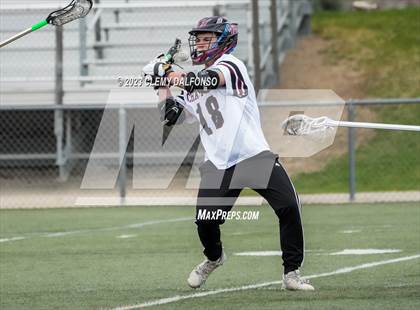 Thumbnail 1 in Monarch @ Chatfield photogallery.