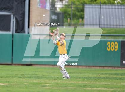 Thumbnail 3 in Tracy vs Granada  photogallery.