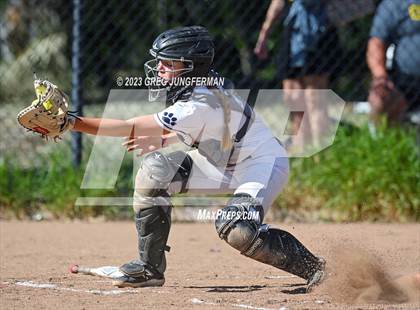 Thumbnail 2 in Cardinal Newman @ Marin Catholic photogallery.