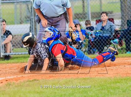 Thumbnail 1 in West Carteret @ Havelock photogallery.