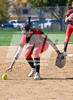 Photo from the gallery "Strasburg vs. Thomas Jefferson"