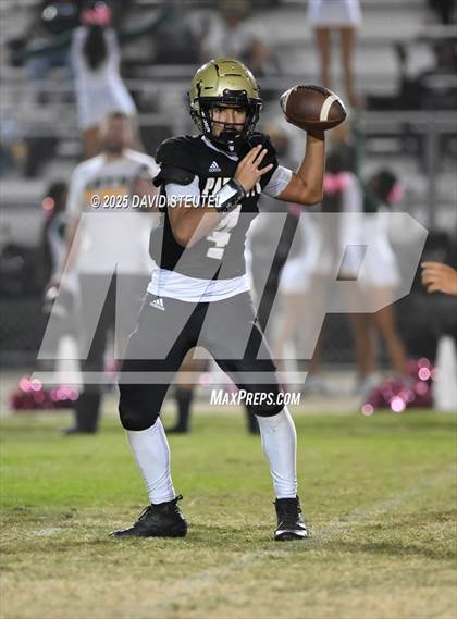 Thumbnail 3 in JV: Vanden @ Pioneer photogallery.