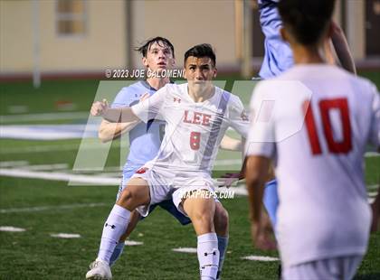 Thumbnail 1 in Johnson vs Lee photogallery.