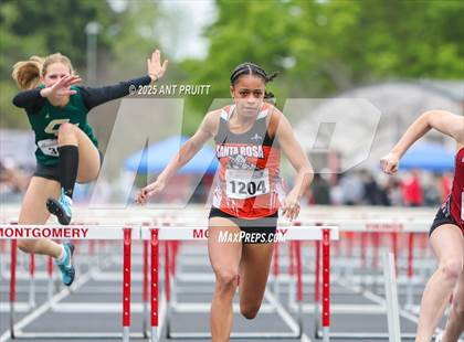 Thumbnail 1 in Bryan Bradley Viking Track Classic (100m Hurdles) photogallery.