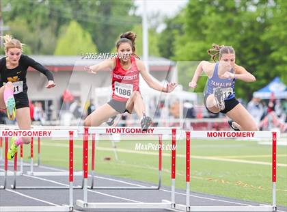 Thumbnail 1 in Bryan Bradley Viking Track Classic (100m Hurdles) photogallery.