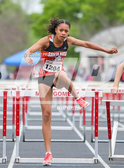 Thumbnail 1 in Bryan Bradley Viking Track Classic (100m Hurdles) photogallery.