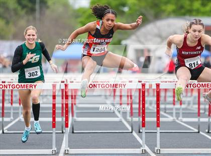 Thumbnail 2 in Bryan Bradley Viking Track Classic (100m Hurdles) photogallery.