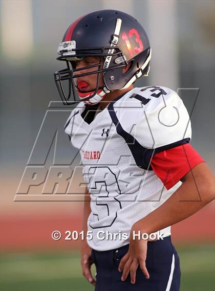 Thumbnail 1 in Sahuaro @ Sahuarita photogallery.