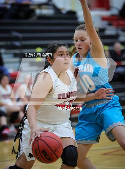 Thumbnail 3 in Cleveland vs. Albuquerque Academy (Joe Armijo Basketball Classic) photogallery.
