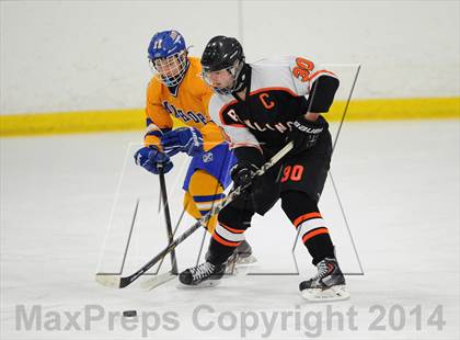 Thumbnail 1 in Pawling @ Mahopac photogallery.