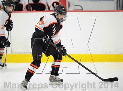 Thumbnail 2 in Pawling @ Mahopac photogallery.
