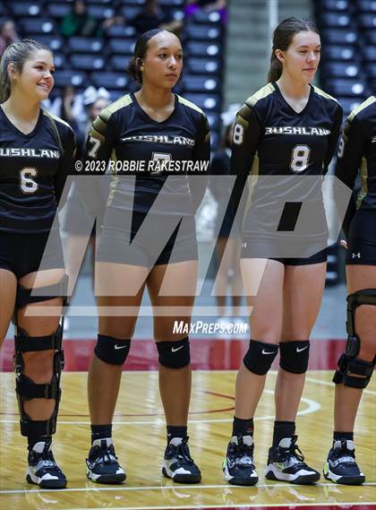 Thumbnail 3 in Bushland vs. Central Heights (UIL 3A Volleyball Semifinal) photogallery.