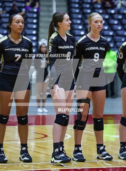 Thumbnail 2 in Bushland vs. Central Heights (UIL 3A Volleyball Semifinal) photogallery.