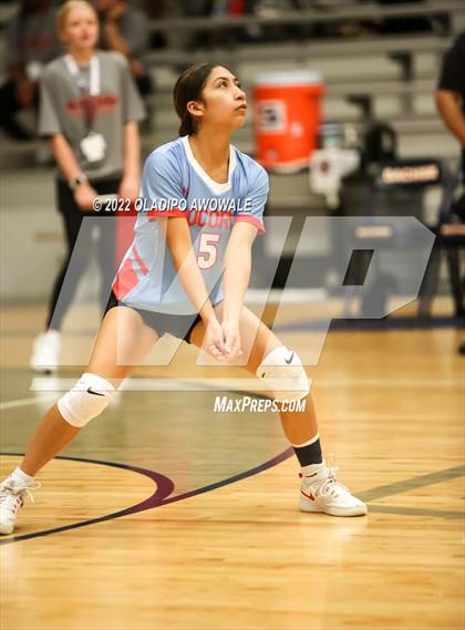 Thumbnail 3 in Socorro @ Sachse photogallery.