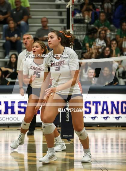 Thumbnail 1 in Socorro @ Sachse photogallery.