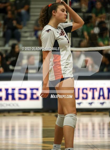 Thumbnail 3 in Socorro @ Sachse photogallery.