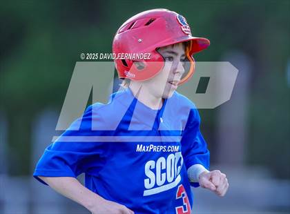 Thumbnail 1 in Hoke County @ Scotland photogallery.