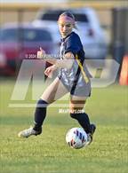 Photo from the gallery "Greenfield-Central @ Delta"