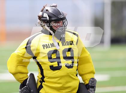 Thumbnail 3 in Regis Jesuit @ Palmer Ridge photogallery.