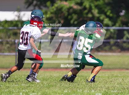 Thumbnail 2 in Patchogue-Medford vs Floyd JV photogallery.