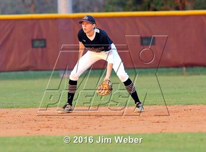 Thumbnail 3 in Land O' Lakes @ Wiregrass Ranch photogallery.