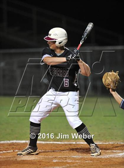Thumbnail 2 in Land O' Lakes @ Wiregrass Ranch photogallery.
