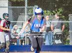 Photo from the gallery "Cardinal Newman @ Analy"