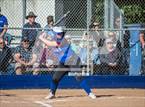 Photo from the gallery "Cardinal Newman @ Analy"