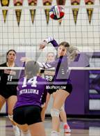 Photo from the gallery "Vintage @ Petaluma"