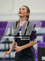 Photo from the gallery "Vintage @ Petaluma"