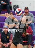 Photo from the gallery "Vintage @ Petaluma"