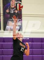 Photo from the gallery "Vintage @ Petaluma"