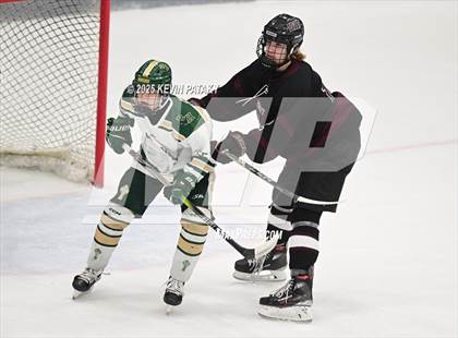 Thumbnail 2 in Prout vs. Bishop Hendricken (RIIL D1 Final) photogallery.