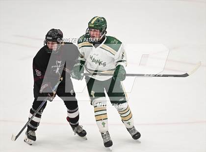 Thumbnail 1 in Prout vs. Bishop Hendricken (RIIL D1 Final) photogallery.
