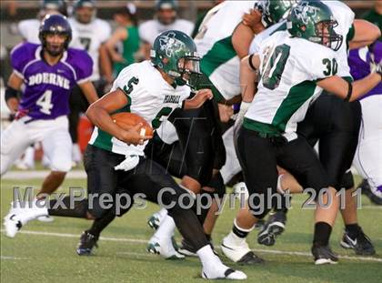 Thumbnail 1 in Pearsall @ Boerne photogallery.
