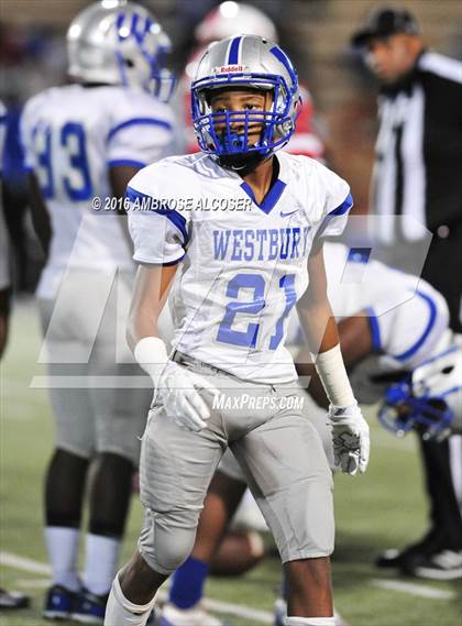 Thumbnail 1 in Westbury @ Bellaire photogallery.
