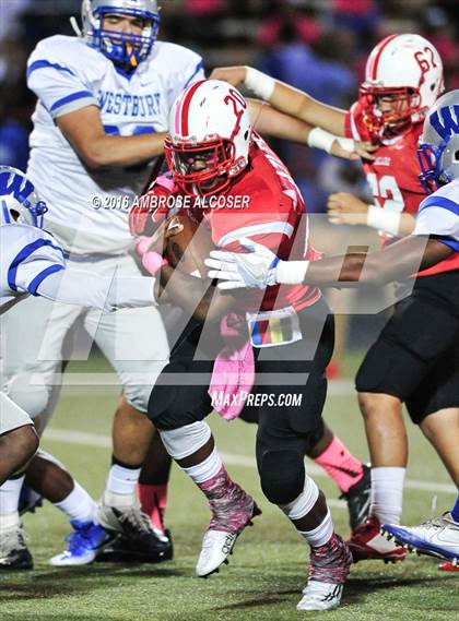 Thumbnail 2 in Westbury @ Bellaire photogallery.