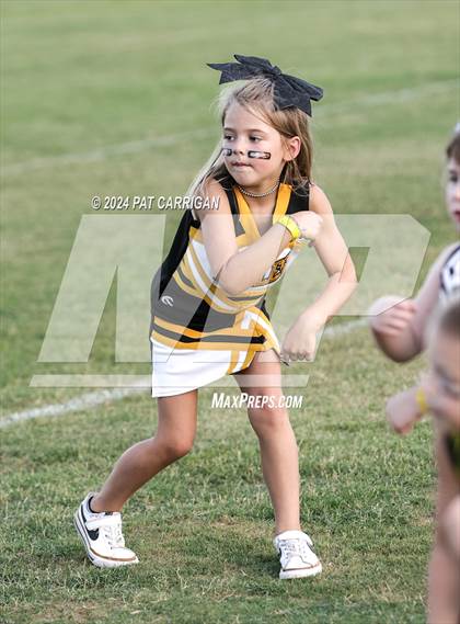 Thumbnail 2 in Goldthwaite photogallery.